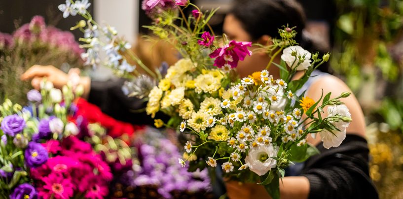Floristik-Betrieben in Halle droht Personalschwund