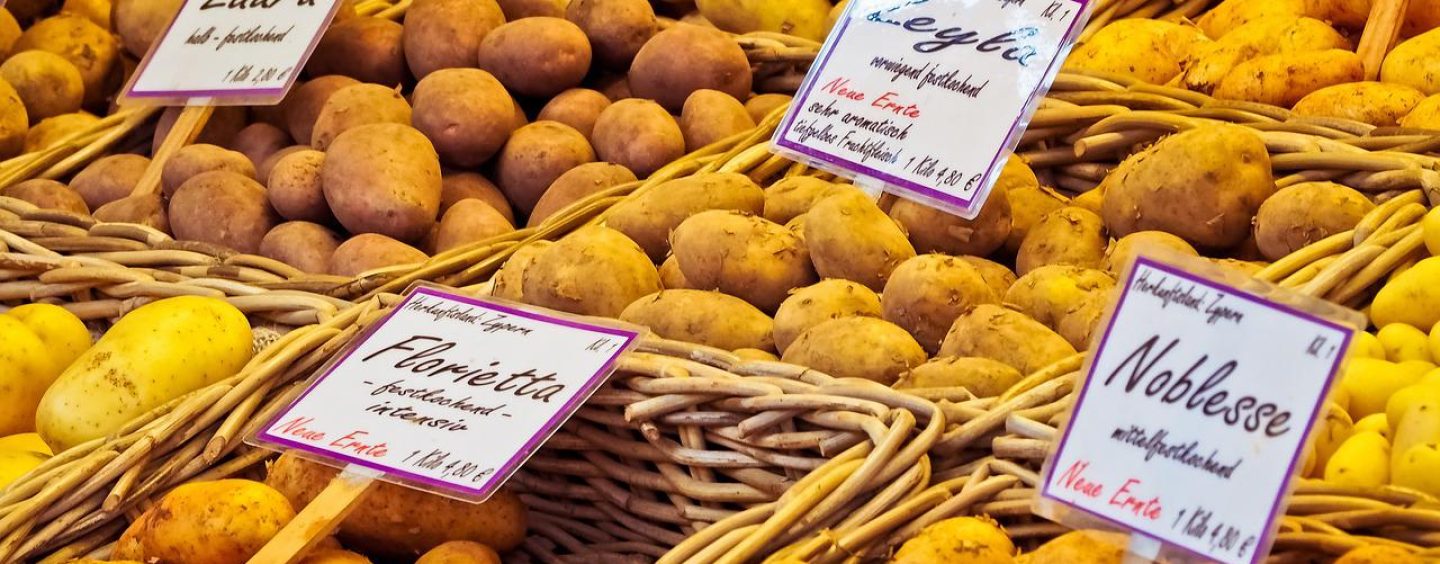 Importe von Kartoffeln und Kartoffelerzeugnissen erfolgte 2021 fast ausschließlich aus EU-​Ländern