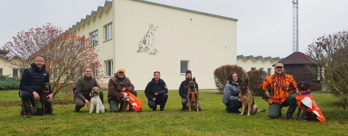 Ausbildung weiterer Kadaverspürhunde in Sachsen-Anhalt abgeschlossen