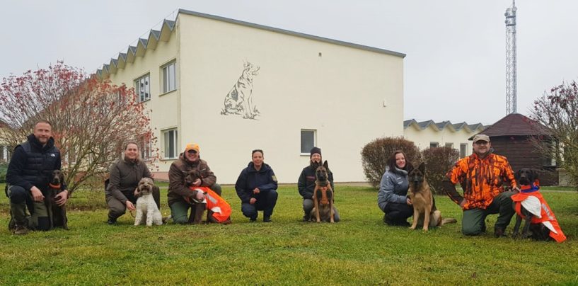 Ausbildung weiterer Kadaverspürhunde in Sachsen-Anhalt abgeschlossen