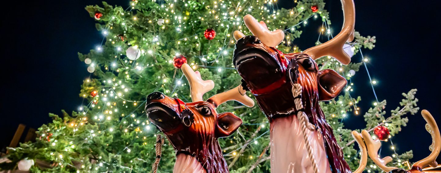 Stadt Halle zieht positives Fazit zum diesjährigen Weihnachtsmarkt