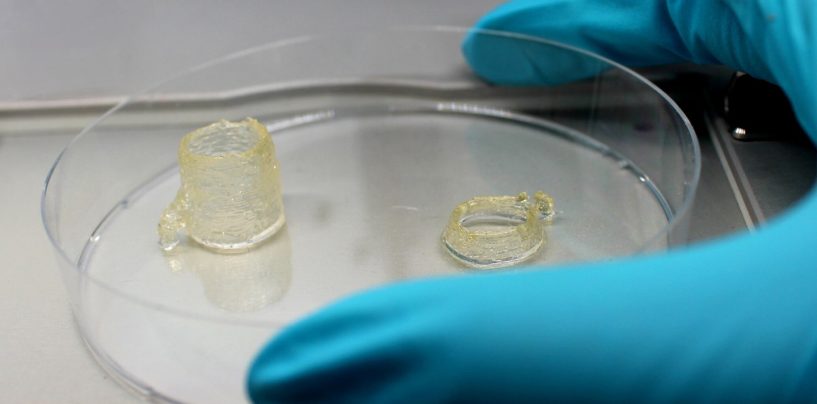 Innovative Biotinten für den 3D-Biodruck