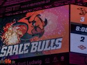 Saale Bulls verteidigen Playoff Heimrecht