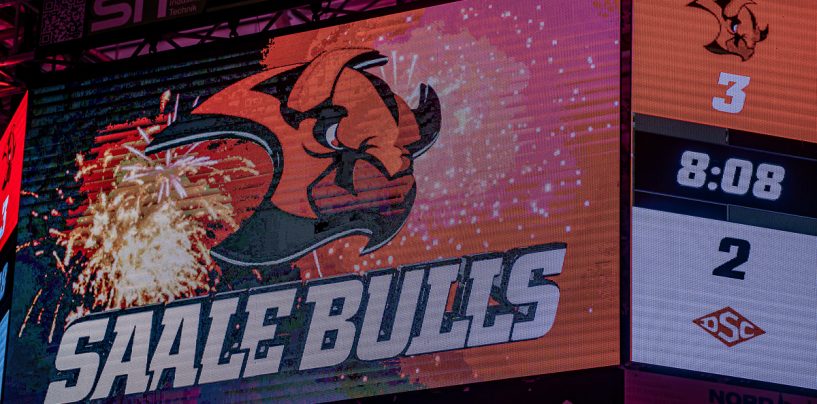 Saale Bulls verteidigen Playoff Heimrecht