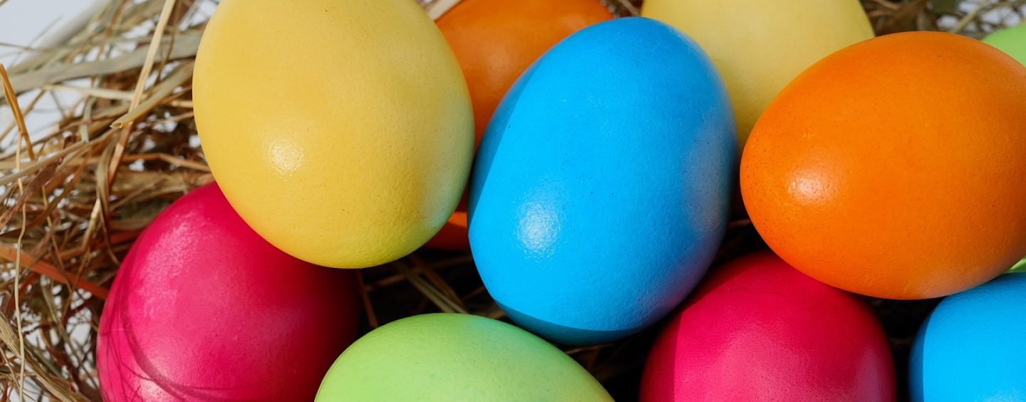 Am Osterwochenende dreht sich alles um das Ei – Aber woher stammt eigentlich die Printnummer auf dem Osterei?