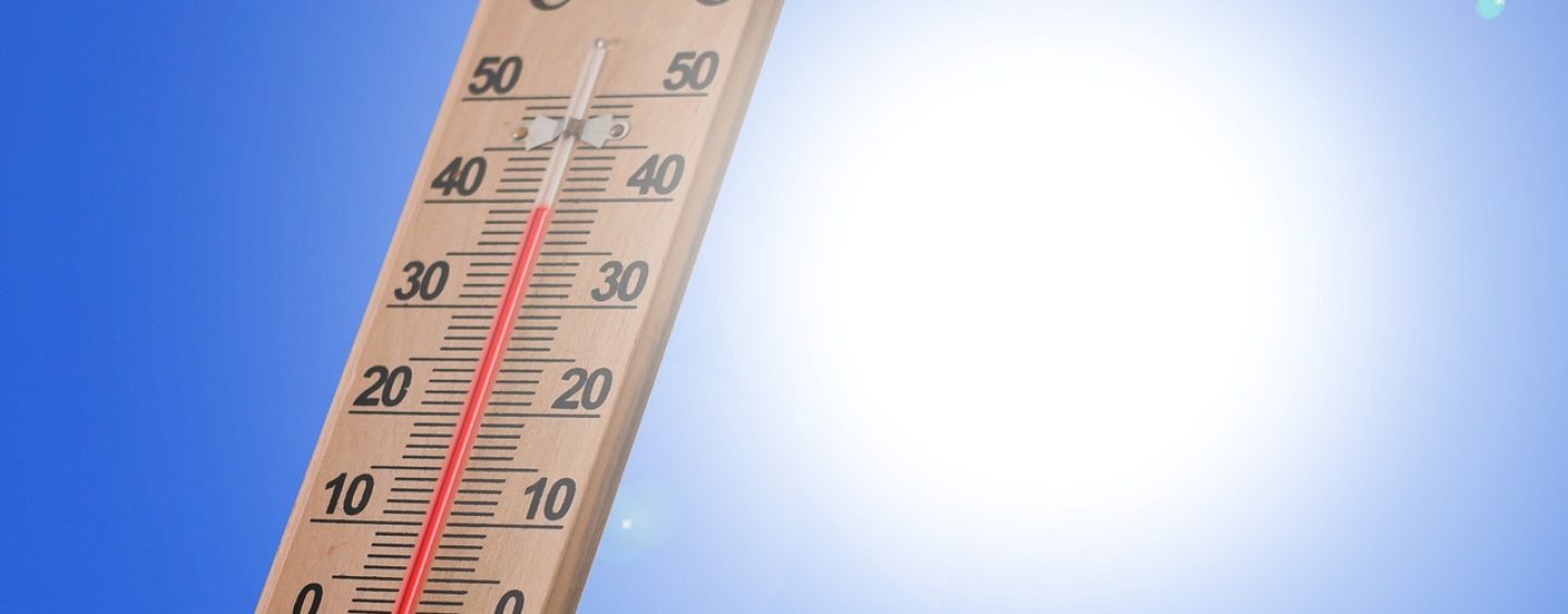 Hitzeaktionstag: Empfehlungen für Pflegeeinrichtungen zum Umgang mit Hitzewellen