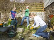 Gartenarbeit – Workout im Grünen