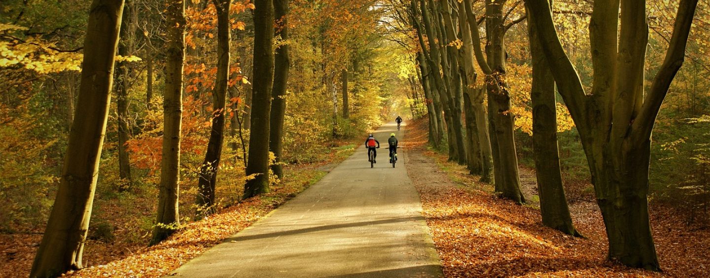 DEKRA Tipps fürs Radfahren im Herbst und Winter