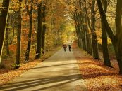 DEKRA Tipps fürs Radfahren im Herbst und Winter
