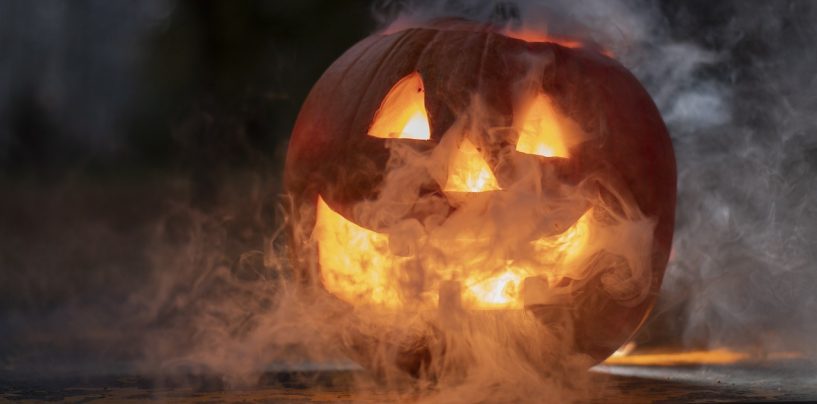 Halloween – Verbrauchertipps und Urteilen zum gruseligen Treiben