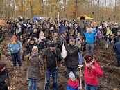 2.000 neue Bäume für den Geburtenwald Halle (Saale)