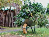 Zusätzliche Entsorgungstermine für Baum- und Strauchschnitt