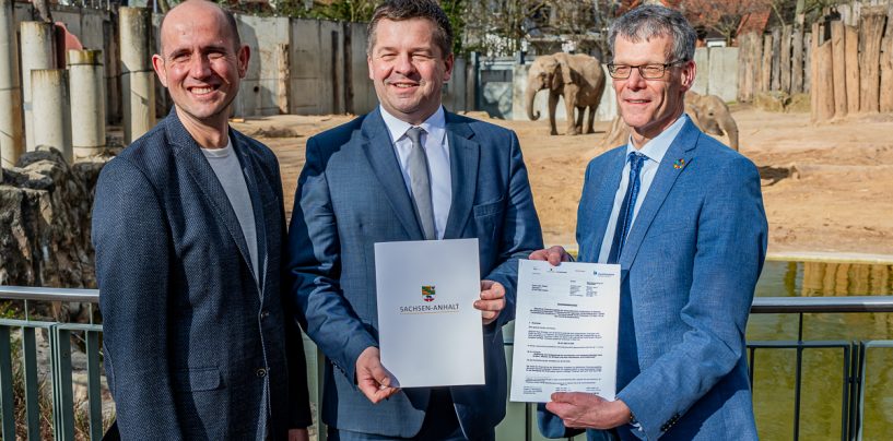 41 Mio. Euro für Projekte im Zoo Halle und Weinberg Campus