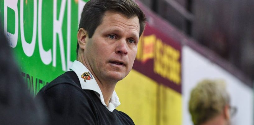 Marko Raita wird neuer Head Coach der Saale Bulls